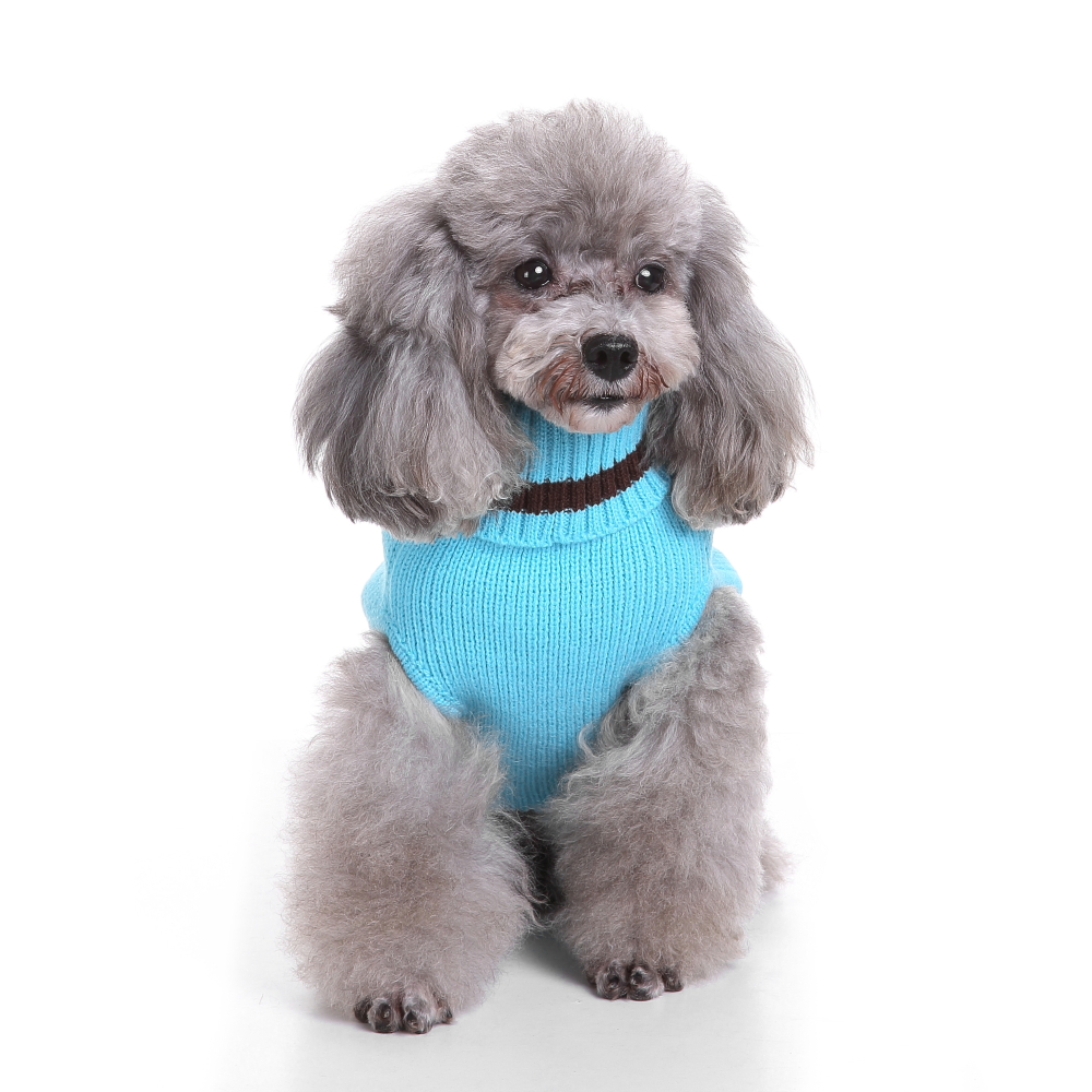 ドッグ Pets.Love.Earth Owl Sweater | Pet Arabia